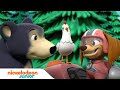 Paw patrol  la pat patrouille  les chiots rencontrent les supers chats    nickelodeon jr