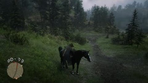 Red Dead Redemption 2 Online - Invisible Player Glitch
