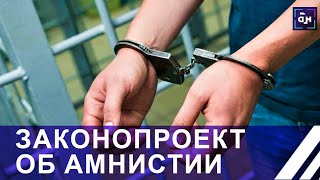 Предварительное обсуждение законопроекта об АМНИСТИИ. Панорама