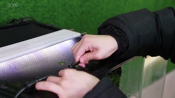 01CE PRO Fogger System Setup and Installation Guide | Easy Setup for Rainforest