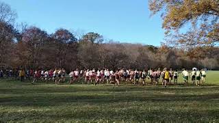 Holmdel Park X-Country Meets 2019