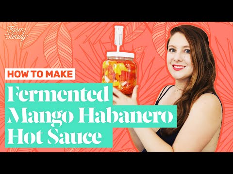 How to Make Mango Habanero Hot Sauce | Fermented Homemade Hot Sauce Recipe | FarmSteady