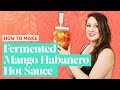 How to Make Mango Habanero Hot Sauce | Fermented Homemade Hot Sauce Recipe | FarmSteady