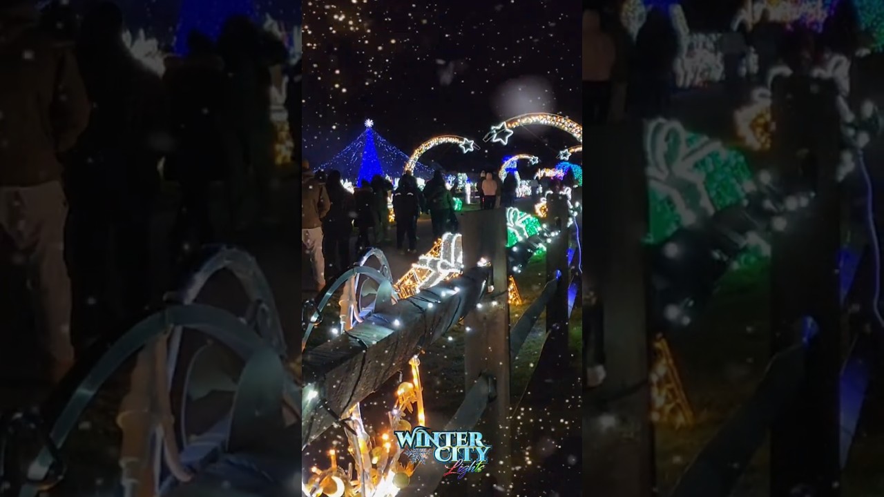 Photos and Videos - Winter City Lights