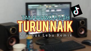 TURUN NAIK X NONA TANAWAWO PICAH🔥 NGGINUS LEBU REMIX