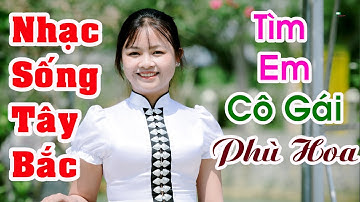 CÙNG NGẮM CÁC ÊM PẢ THÁI ĐEN XINH ĐẸP VÀ NGHE NHẠC SỐNG TÂY BẮC