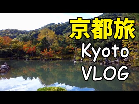 【京都旅行vlog】kyoto vlog 嵐山 霊亀山 天龍寺の拝観時間、参拝時間の所要時間目安はどのくらいですか？