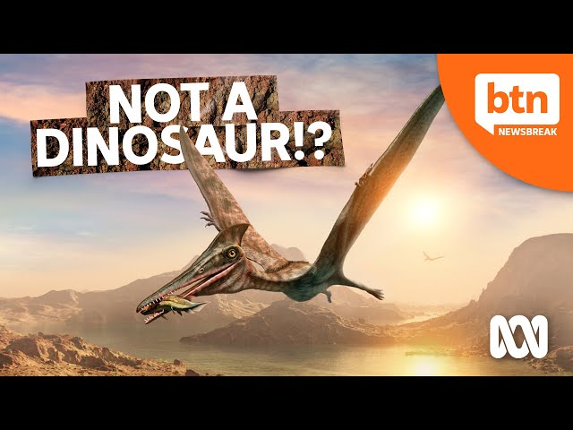 Skye high: Jurassic pterosaur discovery