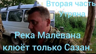 картинка: Вторая часть. Река  Малевана, клюёт только сазан.
