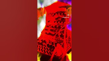 My Dog Can’t Reverse #dfam #subharmonicon #moog