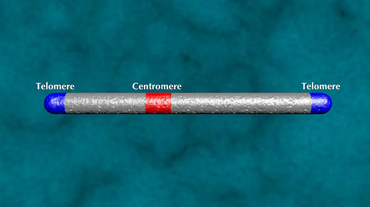 How Evolution Is Scientific Part 2: Accurate Predictions (Second Edition, UHD)