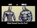 Should beginners first bulk or cut?