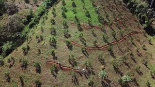 Field work: Adaptive Contour Access Path (ACAP) for Steep Hill Tropical Permaculture Setup Wealth