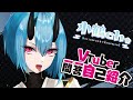【自己紹介】Vtuber一問一答自己紹介【小鶴】