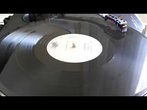 Stevie B ‎–