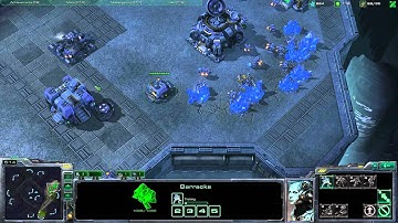 Heart of the Swarm Custom