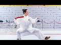 Taiji Champion Zhang Li - Taijishan @ 35th All Japan Wushu Taiji Championships