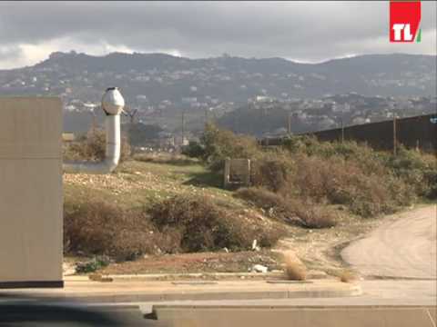 ماذا يمكن أن تفعل طيور النورس بمحرك الطائرة