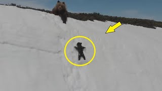 Медведица не могла спасти медвежонка! Но посмотрите кто пришёл на помощь!