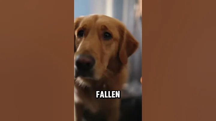 Dog Ignored the Fire — And Saved a Life