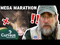 A town where collisions with bears are imminent   mega marathon  curious natural world