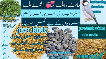 java birds winter mix seeds/ birds winter soft and dry food