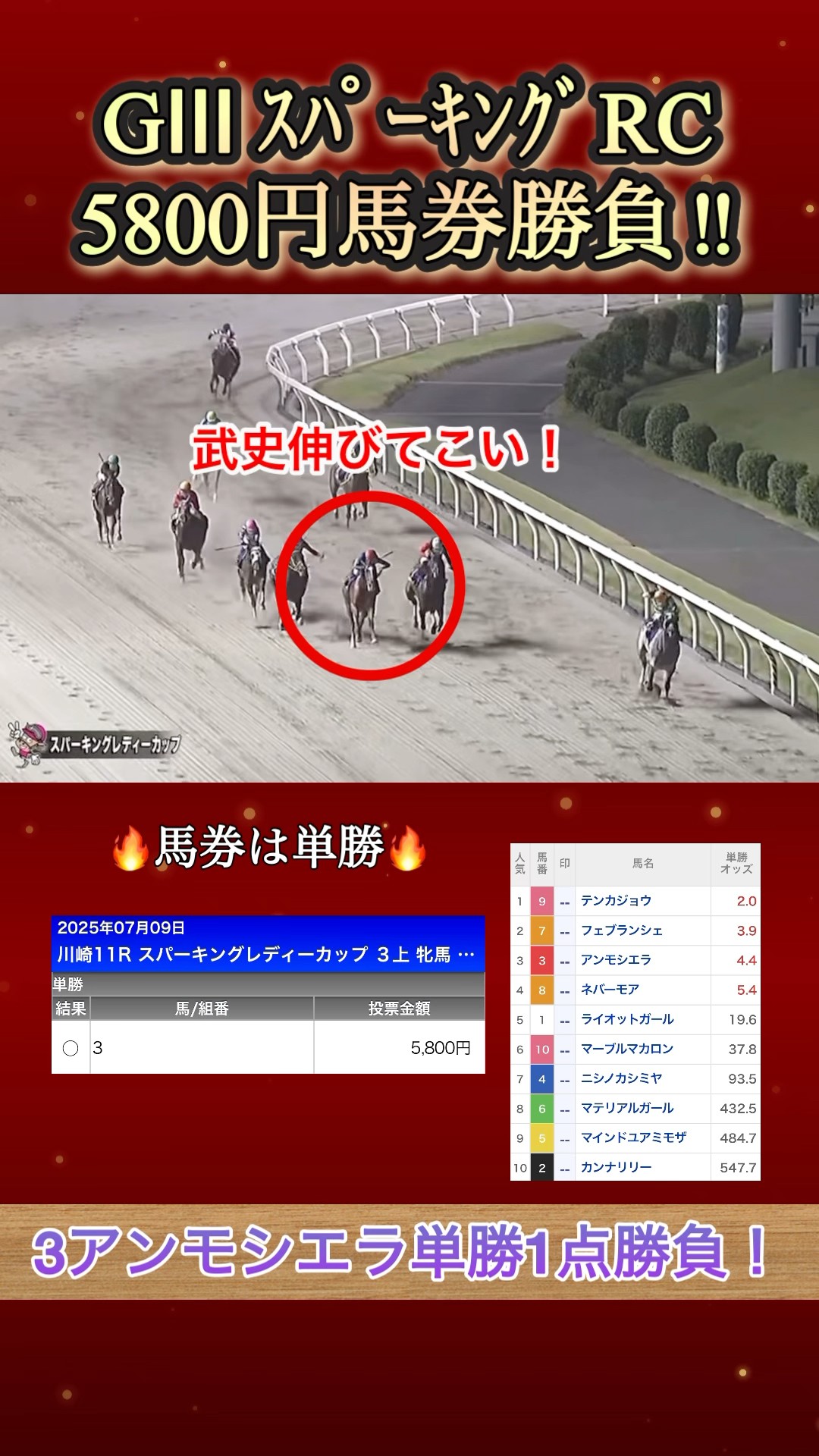 単勝馬券 シーキングザパール 3枚 単勝馬券 シーキングザパール 3枚（マルゼンスキー