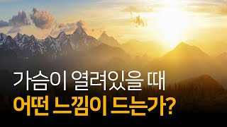 가슴에서 나오는 에너지는 치유의 능력이 있을까? | 상처받지 않는 영혼