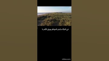 تابعني #سورة_فصلت #محمد_صديق_المنشاوي #قران_بصوت_جميل #المنشاوي_الباكي #المنشاوي_الصوت_الباكى