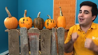 FVRL Virtual Storytime with Brandon – Pumpkins