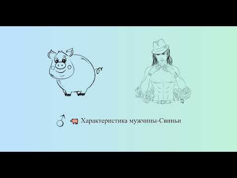 Характеристика мужчины-Свиньи 🐖
