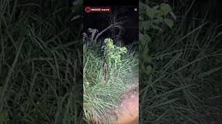 Download Lagu PADU GILA ((MISTERI DUSUN DURIAN)) PARANORMAL ARAZS PART 1/3 MP3 Download Lagu PADU GILA ((MISTERI DUSUN DURIAN)) PARANORMAL ARAZS PART 1/3 MP3