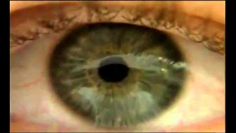 Nine Inch Nails - Into The Void [alternate] (2000)