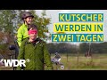 Kann es Johannes? - Kutsche | WDR