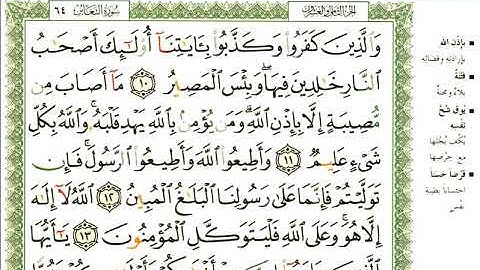 عبد الرحمن العوسي سورة المنافقون كاملة بصوت القارئ عبد الرحمن العوسي المصحف الملون