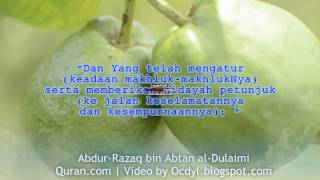 Surah Al - 'Ala ; Abdur-Razaq Abtan al-Dulaimi - 087