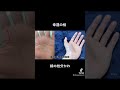 人生が開花する時に見られる幸運の手相