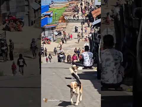 Metusale259 Gmail Com