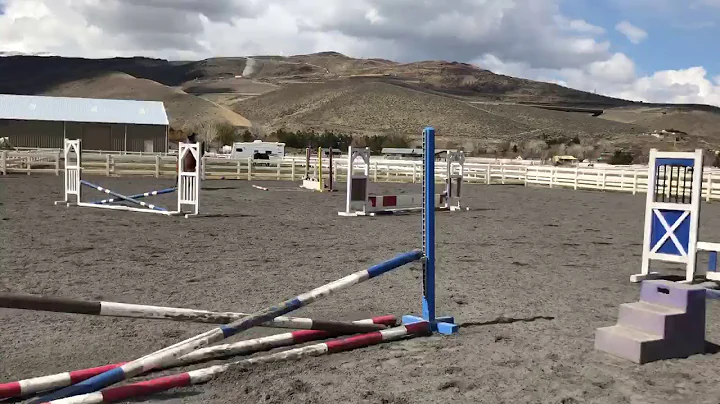 Tex learning to jump - such a good boy