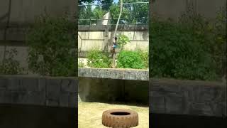 Brazil lion attack 🦁😱