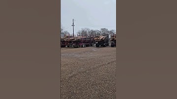 Four Big Trucks Loaded‼️ #logger #trending #wood #loggerlife #shortshorts #automobile #tree #logging