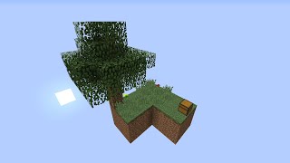 Totally normal video of Minecraft Skyblock...