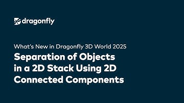 Separate Objects in 2D Stacks with Connected Components in Dragonfly 3D World