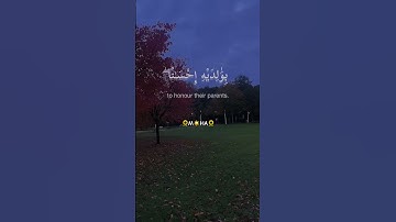 (وَوَصَّيْنَا الْإِنسَانَ بِوَالِدَيْهِ إِحْسَانًا)سورة الاحقاف للشيخ عبدالباسط عبدالصمد رحمه الله