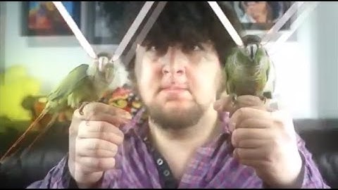 We are Number One but each 