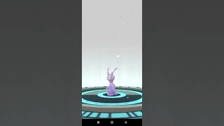 Pokemon Go Evolution - 100% Perfect Iv Goomy Captured In Morocco Sliggoo