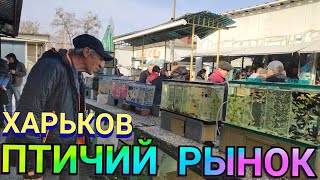 Харьков. Птичий Рынок во время военного положения! Ассортимент и цены на рыбок!