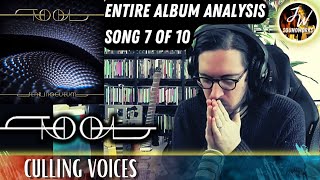 Musical Analysis/Reaction of TOOL - Culling Voices