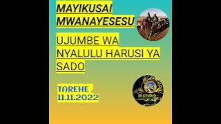 MAYIKUSAI UJUMBE  WA NYALULU HARUSI YA SADO PROD MBASHA STUDIO TAREHE 11.11.2022