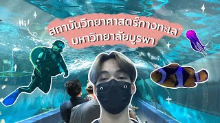 vlog | เดินเล่นอควาเรียม ศูนย์เรียนรู้โลกใต้ทะเล บางแสน🪸🐠 | boatphoto